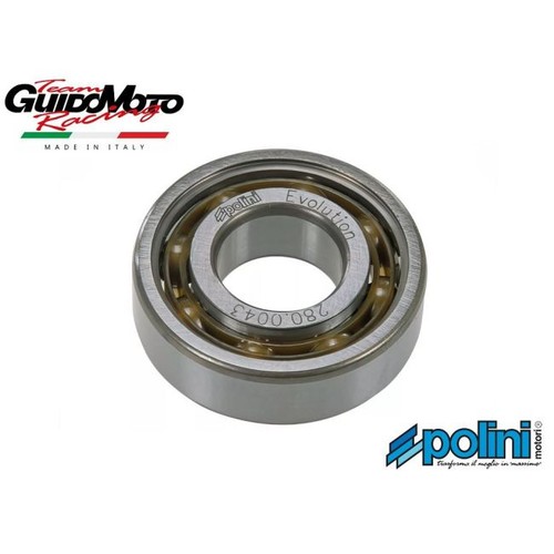 Cuscinetti polini evolution - cuscinetti,