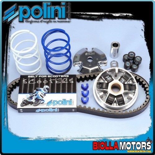 241 510 kit variatore - 241.510.1, polini